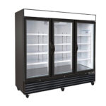 Cold Zone Display Glass display Freezer CZ 81F-G3